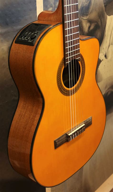 Johnson Jg-624-n 620 Player Series Lefty Acoustic Guitar Natural. . Guitars ebay